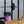Load image into Gallery viewer, WICKED WHEY WHEY PROTEIN POWDERS 1kg CHOCOLATE, Concentrate WICKED WHEY. Wicked whey packet sitting on box in foreground with weight bar in background and training rope
